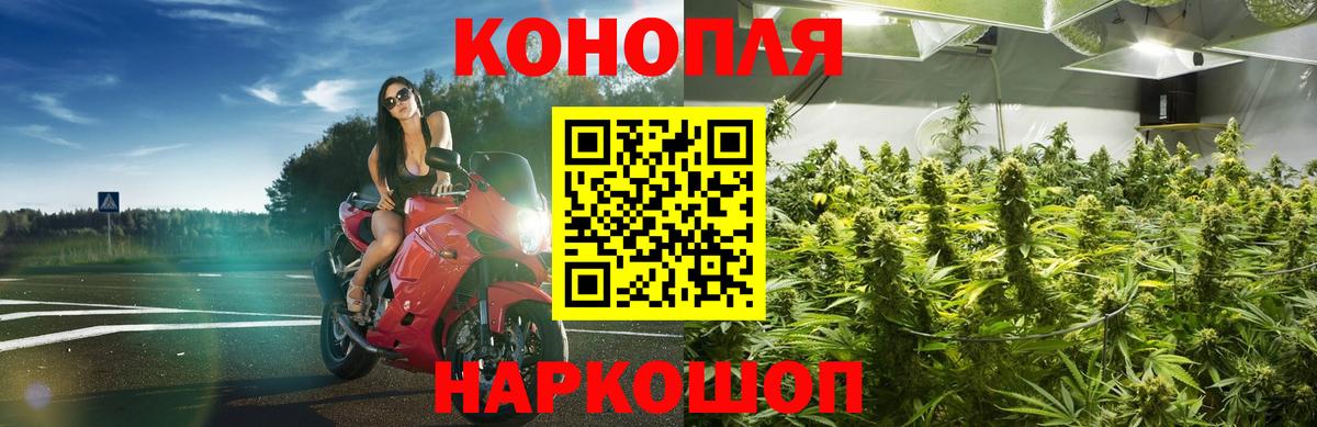МАРИХУАНА ГИДРОПОН  МАРИХУАНА конопля  Каменск-Шахтинский  Конопля LSD WEED  Вход с VPN  Марихуана тримм 